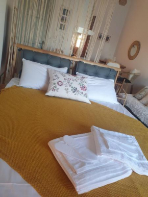 Bracciera Lipsi Apts 2 - Dodekanes Lipsi